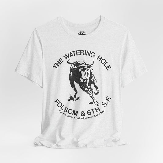 The Watering Hole (San Francisco Gay Leather and Cruising Bar/70's and 80's)