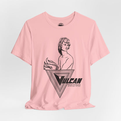 Vulcan Steam & Sauna (San Diego Gay Bathhouse/1974-2013)