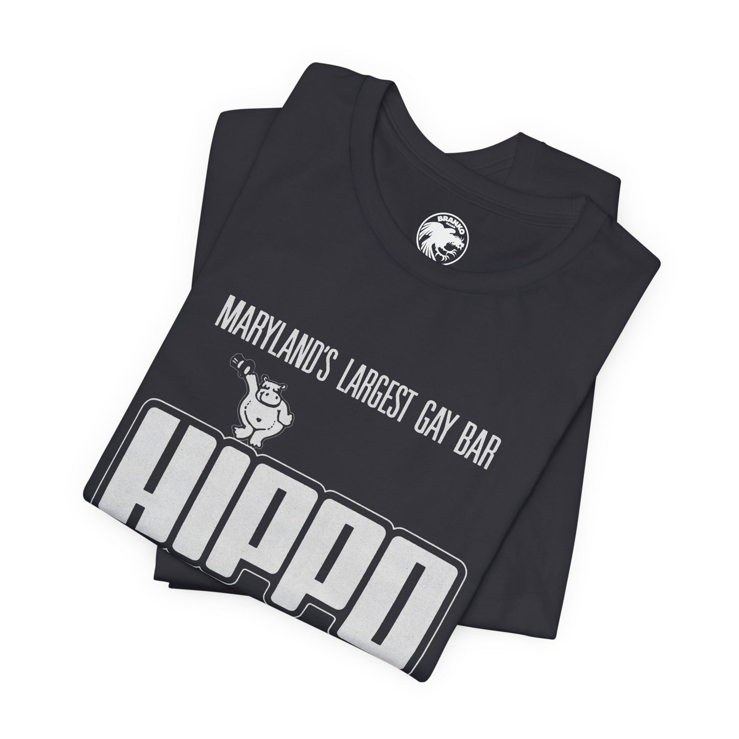 Club Hippo/The Hippopotamus (Baltimore LGBTQ Club/1972-2015/Hippo Baltimore)
