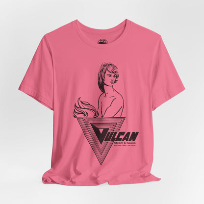 Vulcan Steam & Sauna (San Diego Gay Bathhouse/1974-2013)