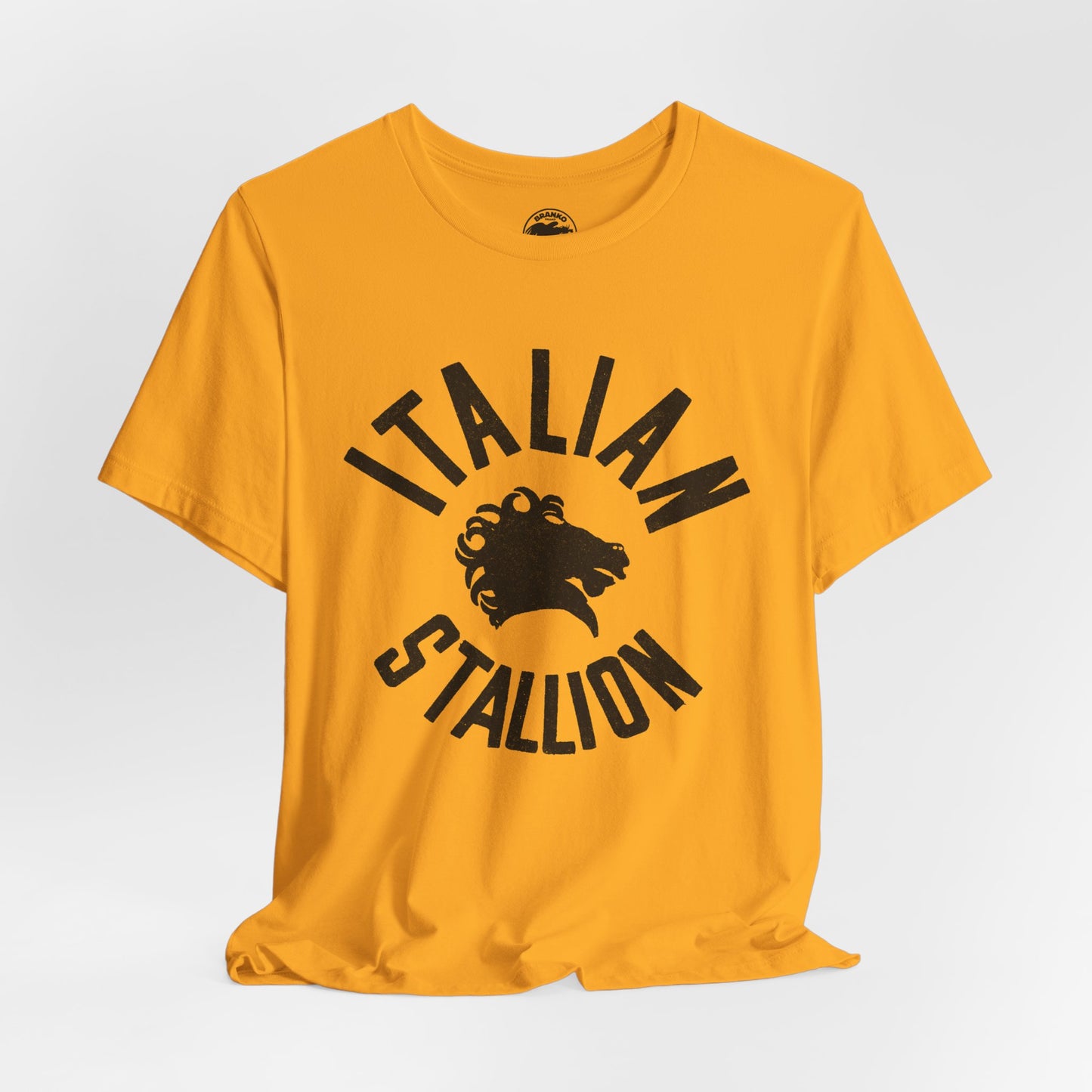 Italian Stallion (Rocky Shirt/Replica Logo with Vintage Print Effect/Rocky Balboa)