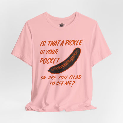 Is That a Pickle in Your Pocket... (Replica 70's Iron-On Transfer Graphic)