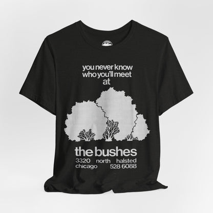 The Bushes Chicago (Chicago Gay Cruise Bar)