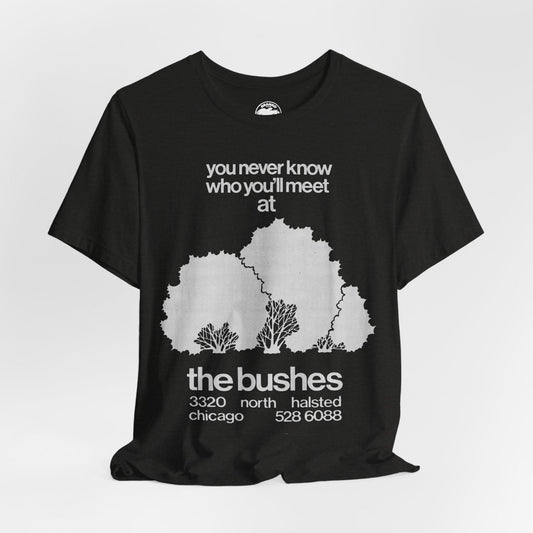 The Bushes Chicago (Chicago Gay Cruise Bar)