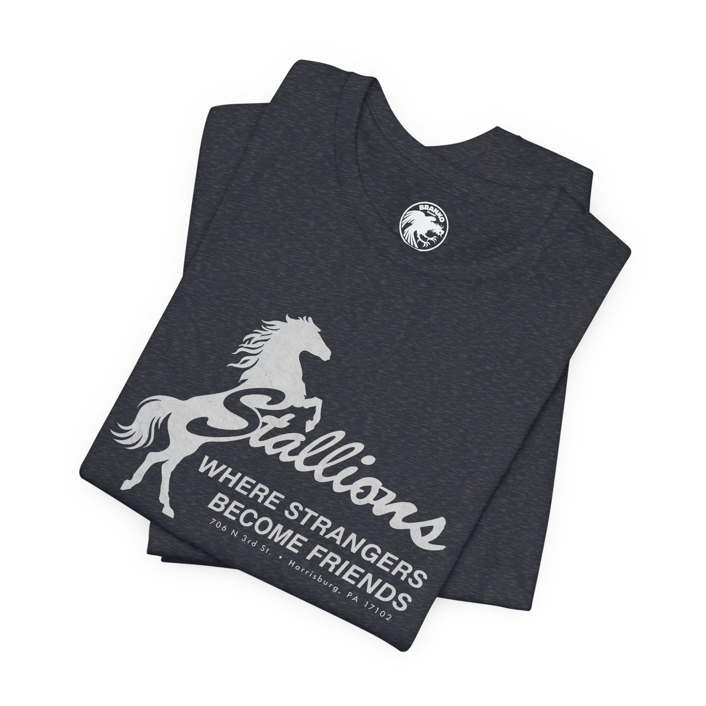 Stallions (Iconic Harrisburg Gay Bar/1985-2023)