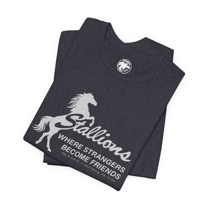 Stallions (Iconic Harrisburg Gay Bar/1985-2023)