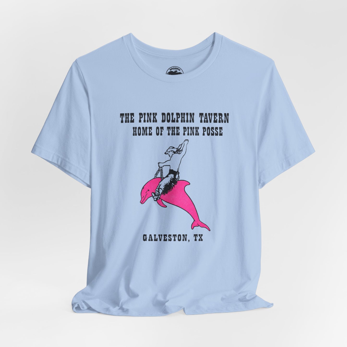 The Pink Dolphin (Galveston, Texas Gay Bar/2004-2018)