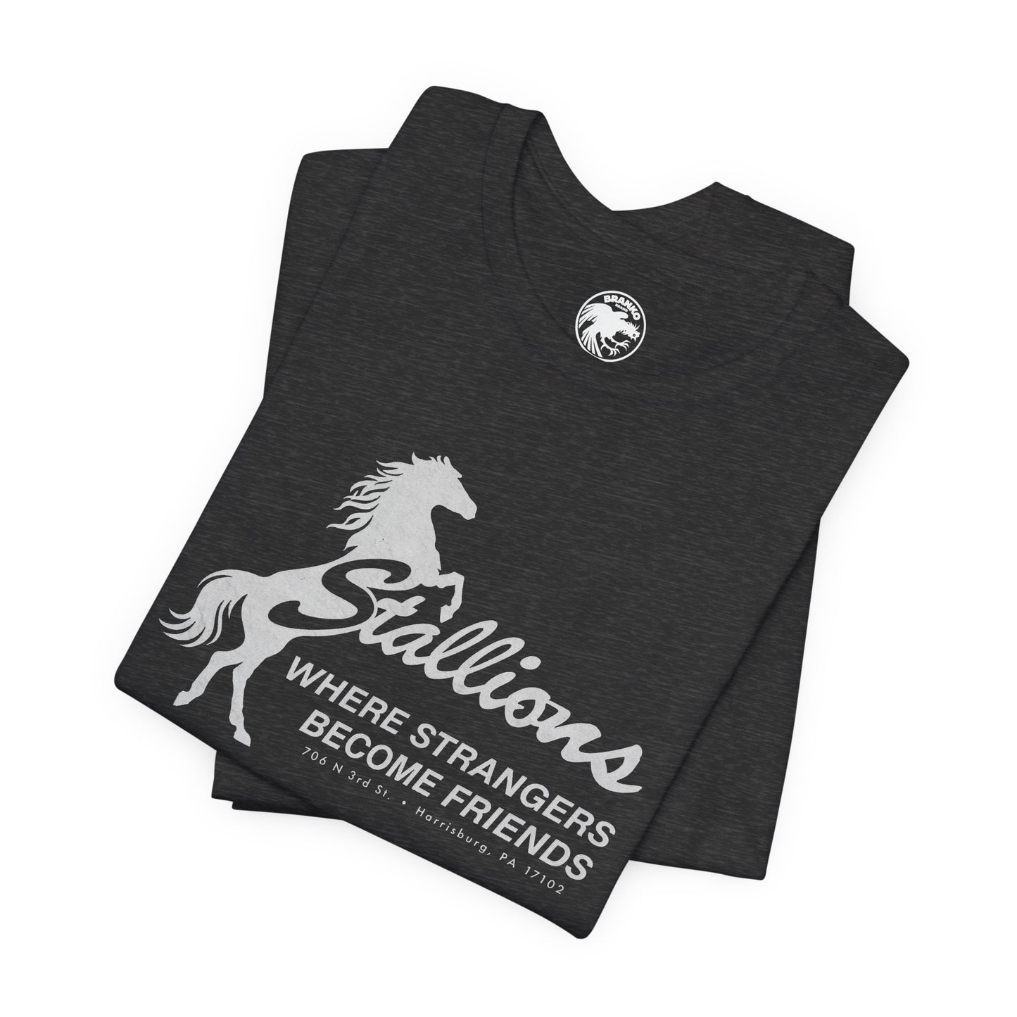 Stallions (Iconic Harrisburg Gay Bar/1985-2023)