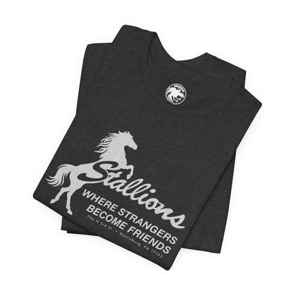 Stallions (Iconic Harrisburg Gay Bar/1985-2023)