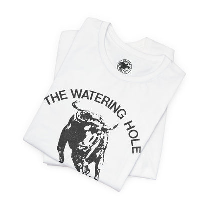 The Watering Hole (San Francisco Gay Leather and Cruising Bar/70's and 80's)