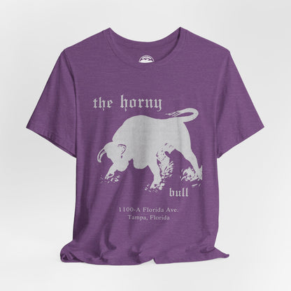 The Horny Bull (Tampa Gay Bar/70's and 80's)