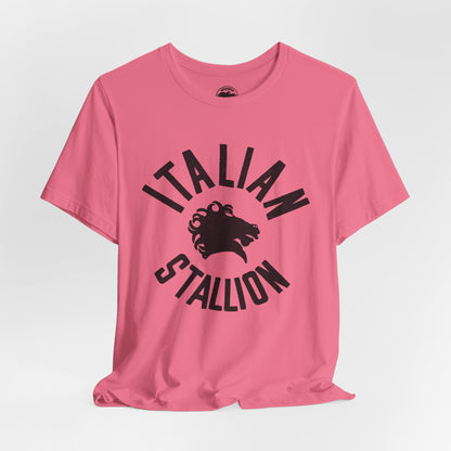 Italian Stallion (Rocky Shirt/Replica Logo with Vintage Print Effect/Rocky Balboa)
