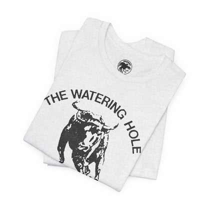 The Watering Hole (San Francisco Gay Leather and Cruising Bar/70's and 80's)
