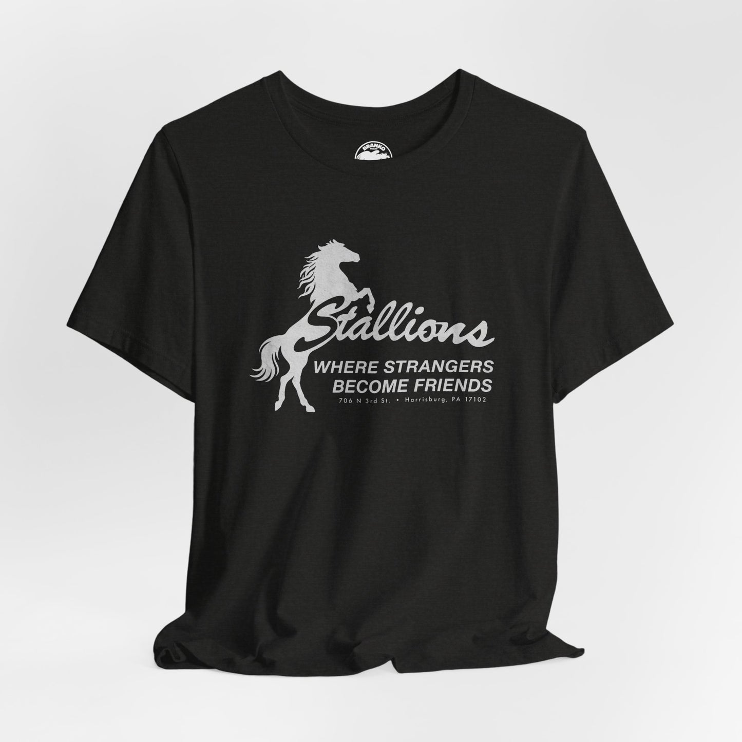 Stallions (Iconic Harrisburg Gay Bar/1985-2023)