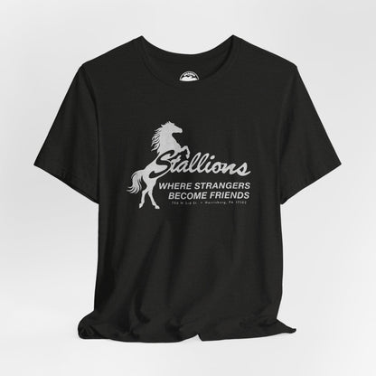 Stallions (Iconic Harrisburg Gay Bar/1985-2023)