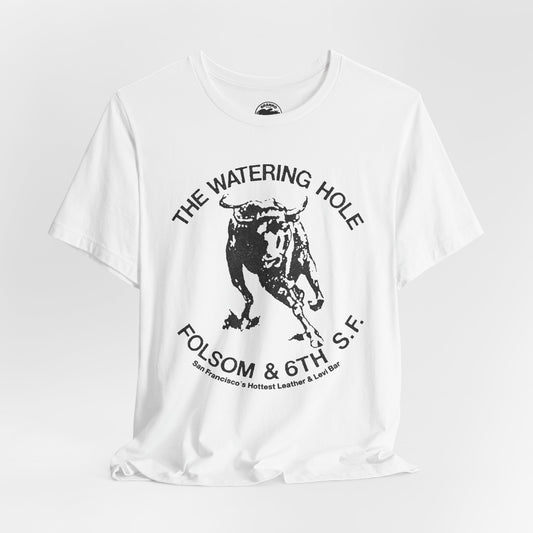 The Watering Hole (San Francisco Gay Leather and Cruising Bar/70's and 80's)