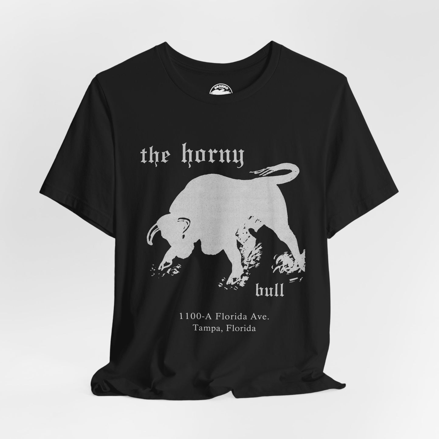The Horny Bull (Tampa Gay Bar/70's and 80's)
