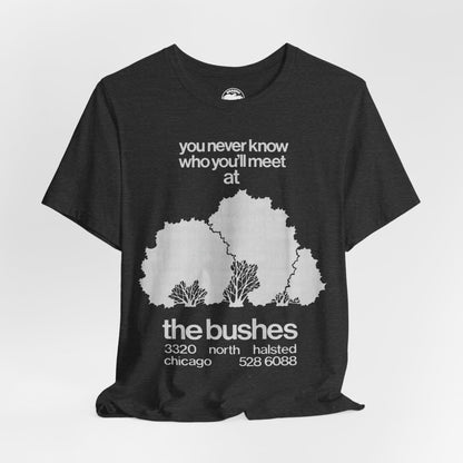 The Bushes Chicago (Chicago Gay Cruise Bar)