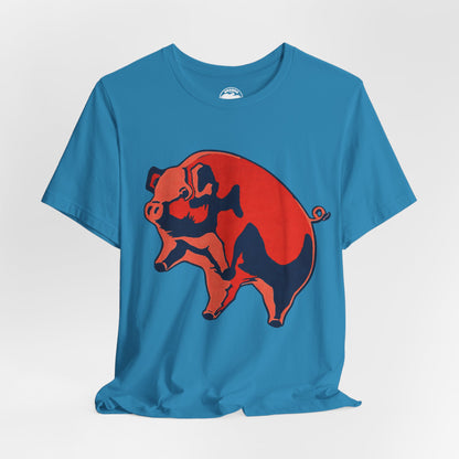 Pink Floyd (Oversized Animals Pig with Vintage Print Effect)