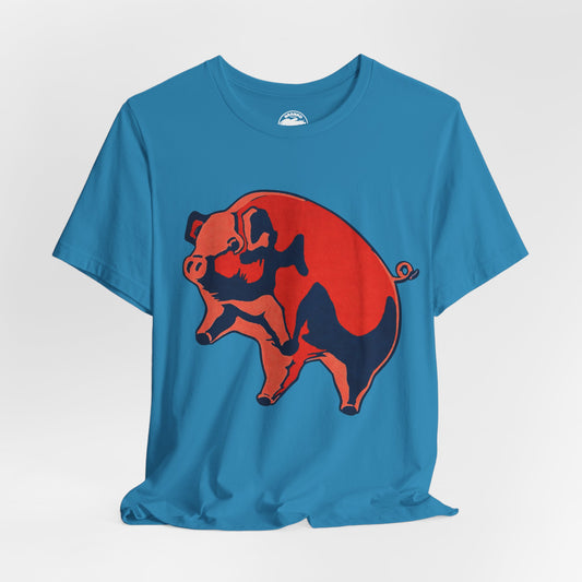 Pink Floyd (Oversized Animals Pig with Vintage Print Effect)
