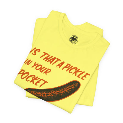 Is That a Pickle in Your Pocket... (Replica 70's Iron-On Transfer Graphic)