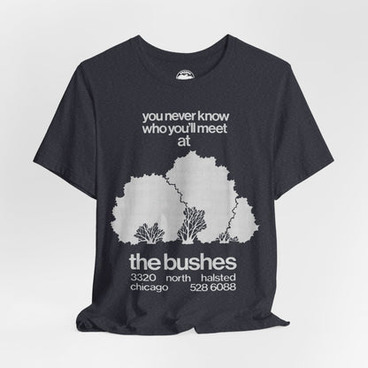 The Bushes Chicago (Chicago Gay Cruise Bar)