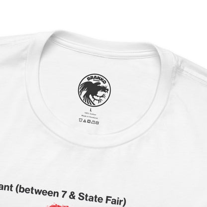 The Third Man Lounge (Detroit Gay Bar/70's and 80's)