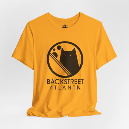 Backstreet Atlanta (Iconic Atlanta Gay Club/1975-2004)