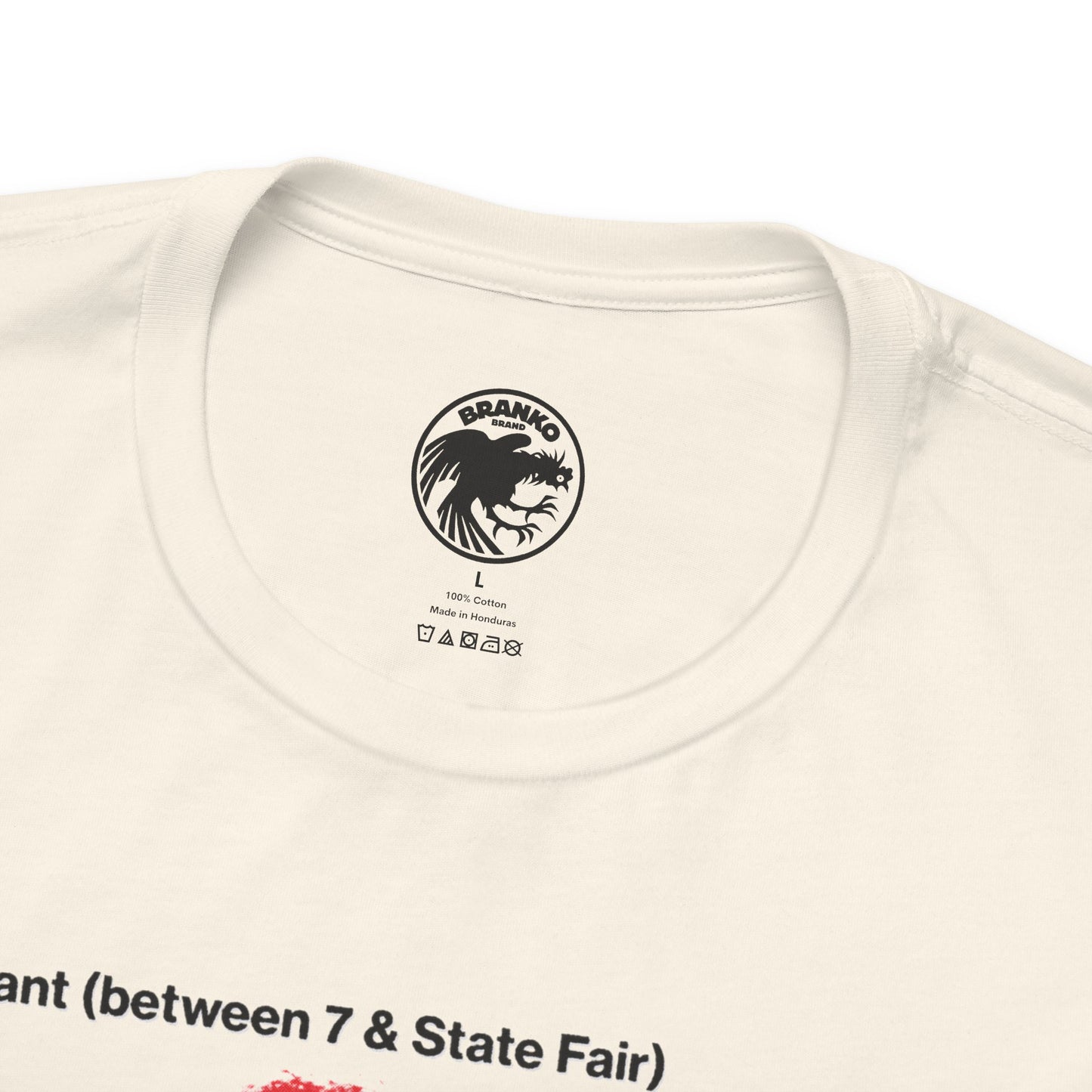 The Third Man Lounge (Detroit Gay Bar/70's and 80's)