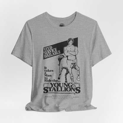 Young Stallions (70's Gay Porn Poster Image)