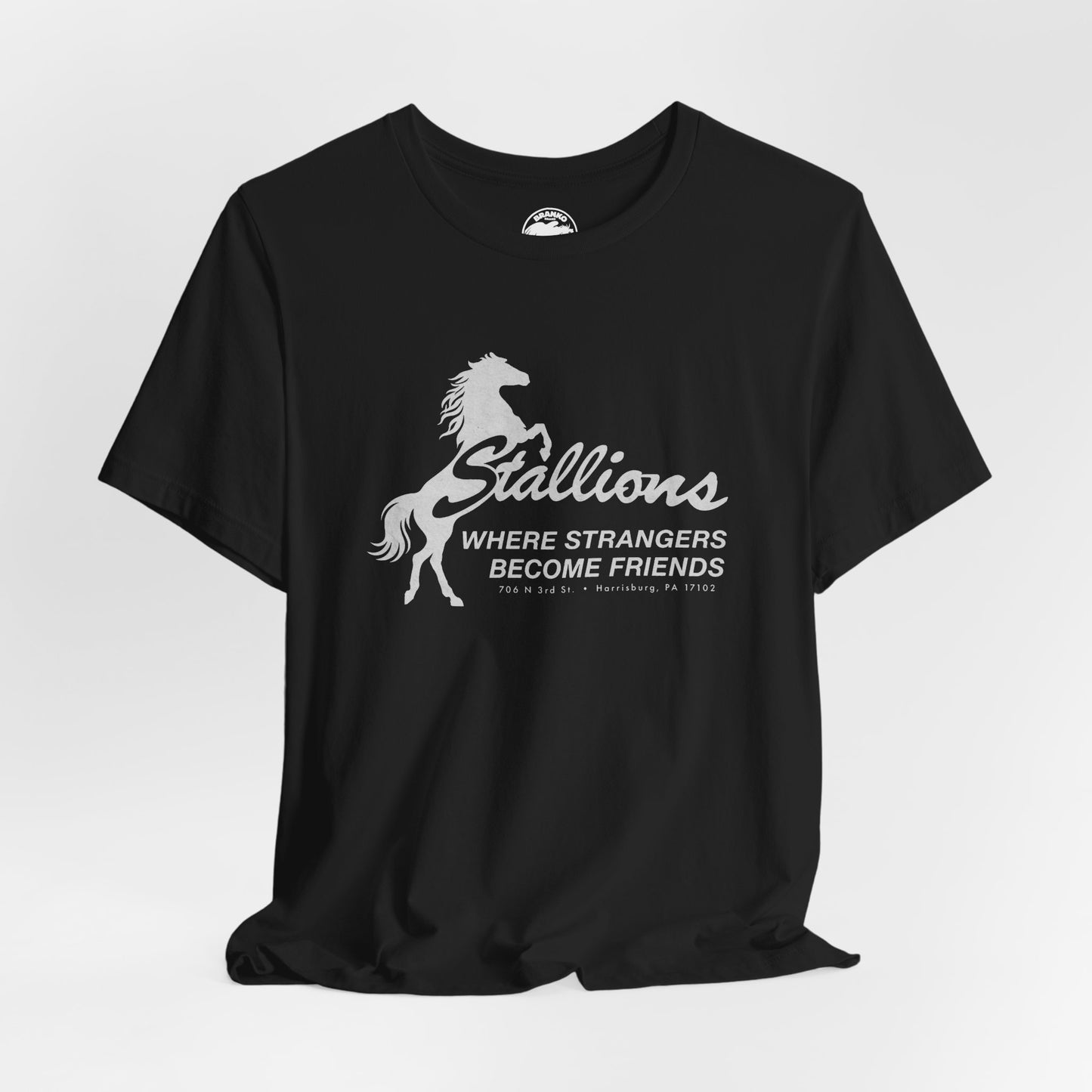 Stallions (Iconic Harrisburg Gay Bar/1985-2023)