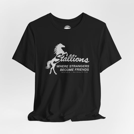 Stallions (Iconic Harrisburg Gay Bar/1985-2023)