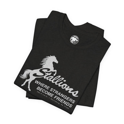 Stallions (Iconic Harrisburg Gay Bar/1985-2023)