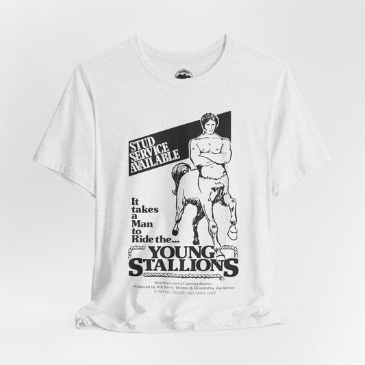 Young Stallions (70's Gay Porn Poster Image)
