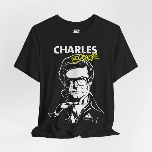 Charles Nelson Reilly (Charles in Charge)