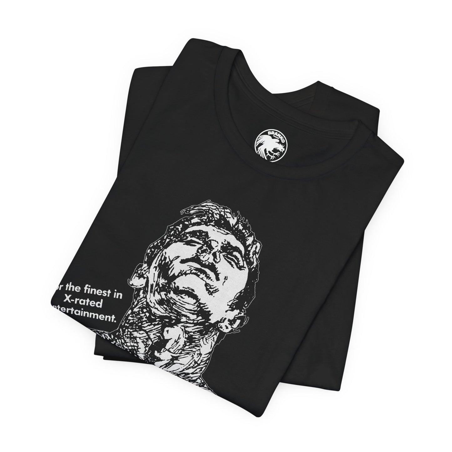 Bijou Theater Chicago (Chicago Gay Porno Theater/1970-2015)