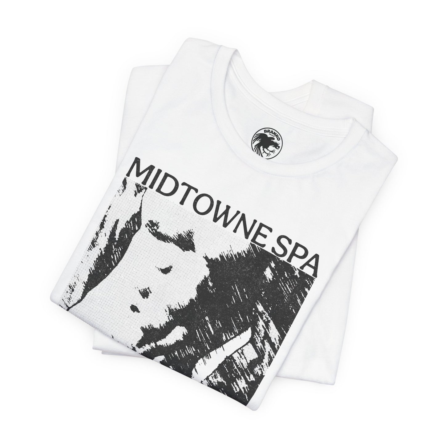 Midtowne Spa (Los Angeles Gay Bathhouse/1972-2022)