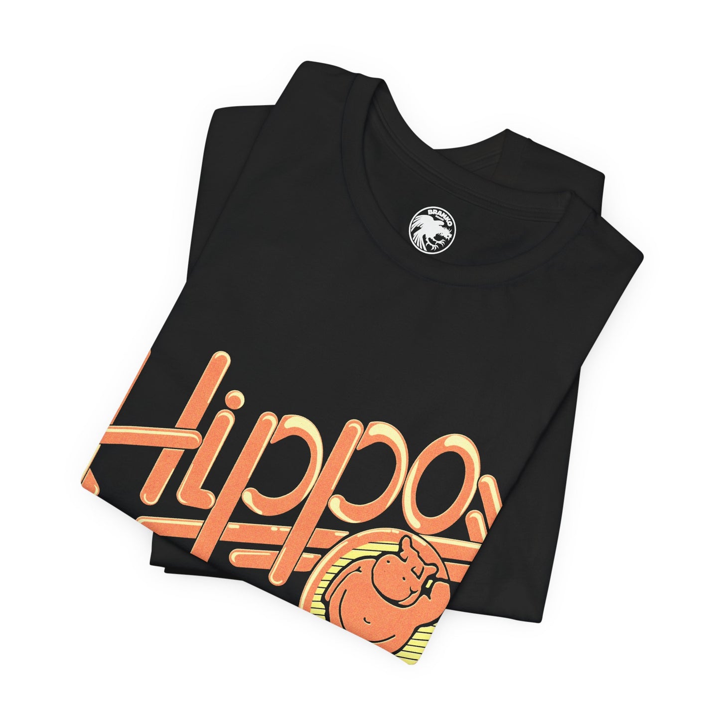 Club Hippo/The Hippopotamus (Baltimore LGBTQ Club/1972-2015)