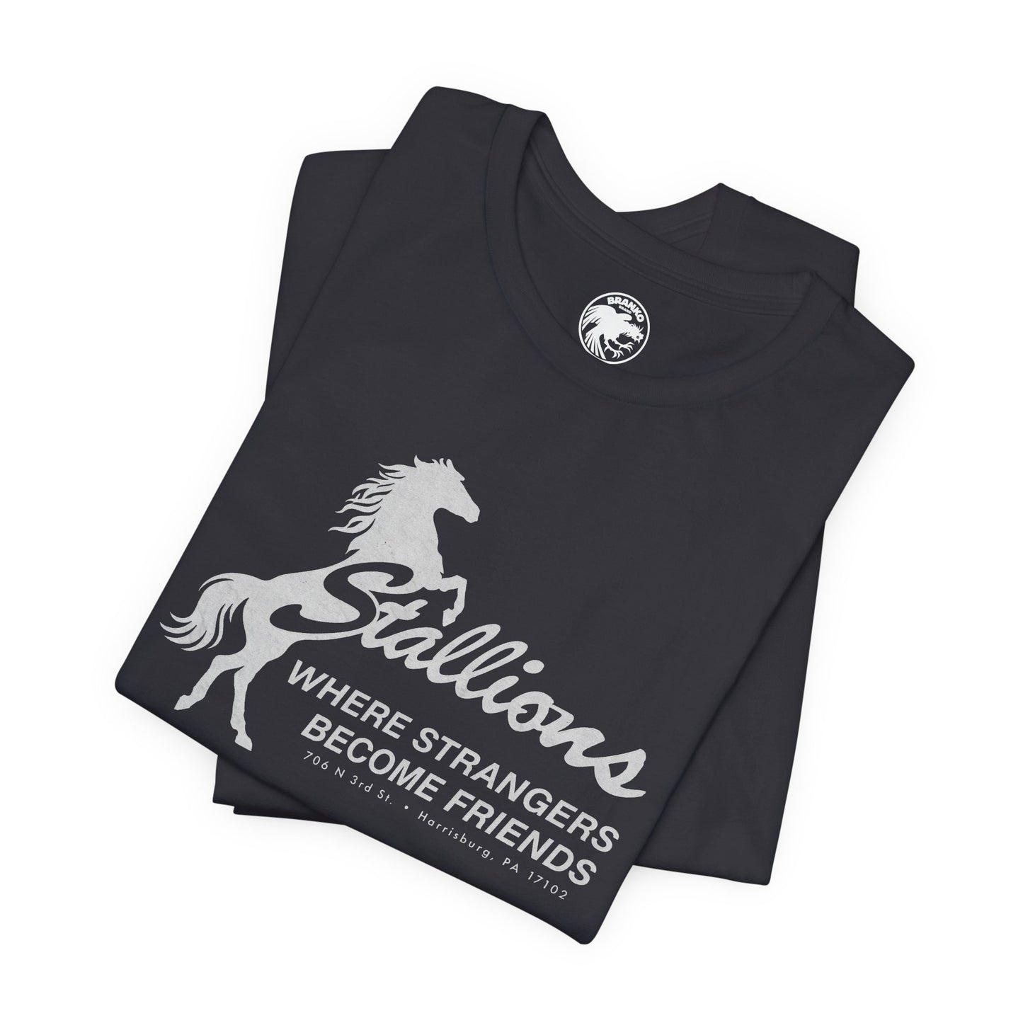 Stallions (Iconic Harrisburg Gay Bar/1985-2023)