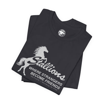 Stallions (Iconic Harrisburg Gay Bar/1985-2023)