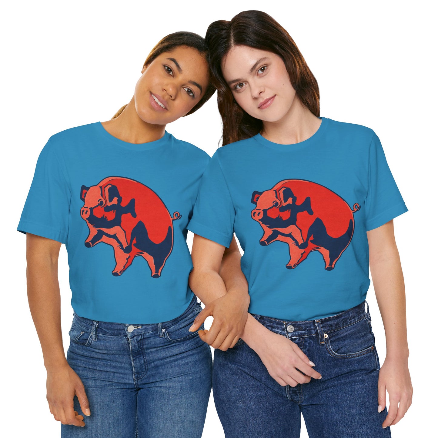 Pink Floyd (Oversized Animals Pig with Vintage Print Effect)