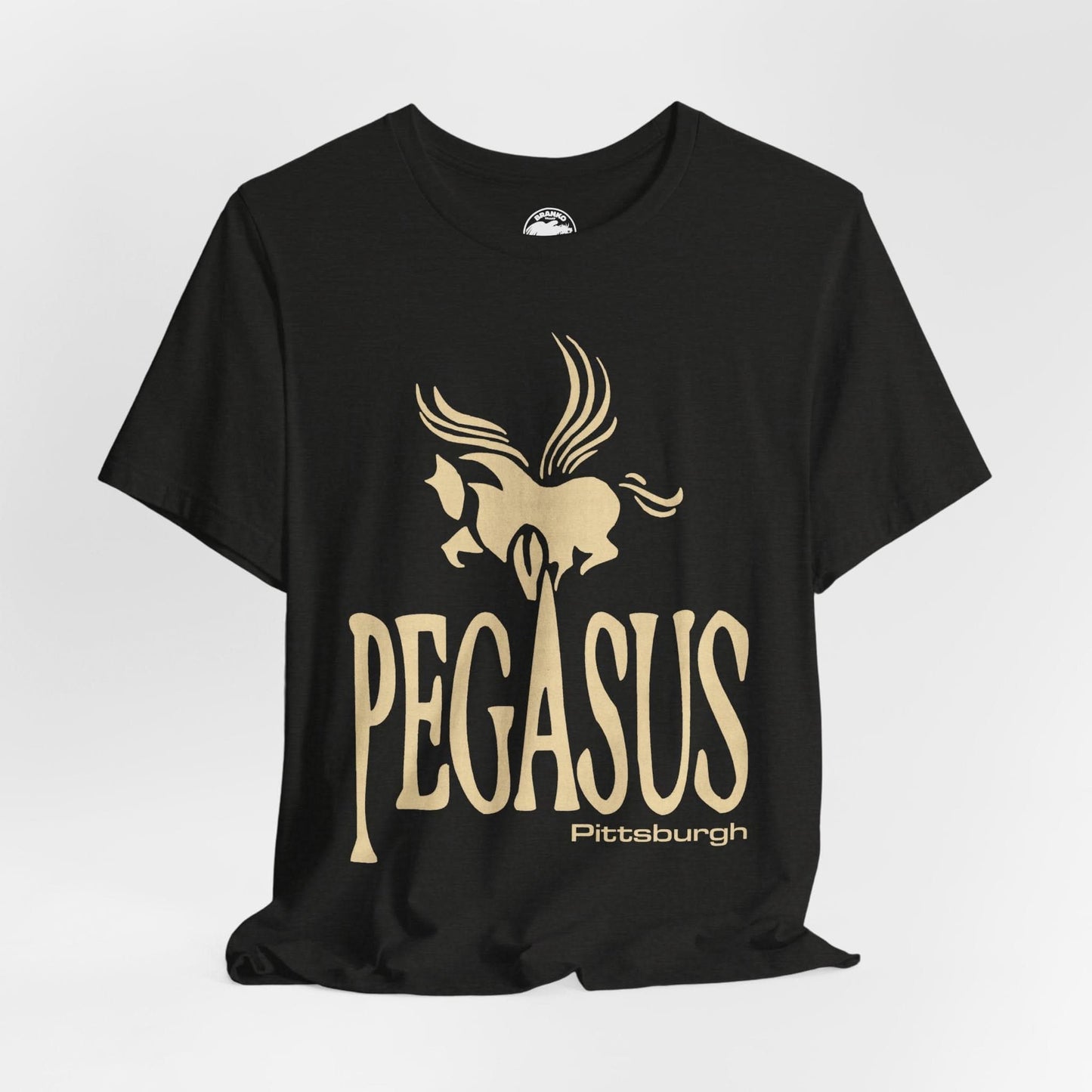 Pegasus Lounge (Pittsburgh LGBTQ+ Club/1980-2012)
