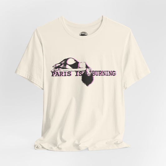 Paris is Burning (Press Kit Graphic with Vintage Punk Effect)