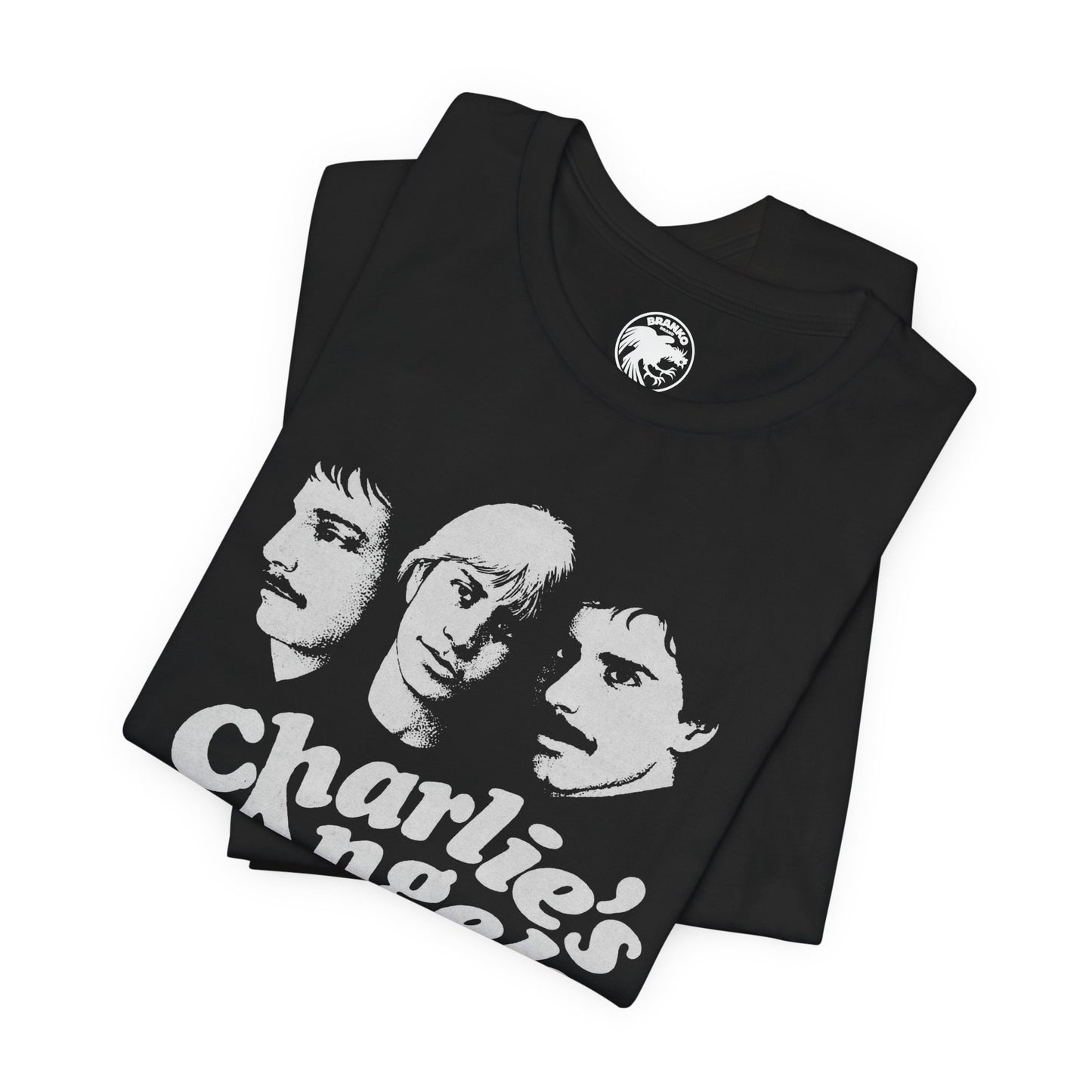 Charlie's Angels (Des Plaines Illinois Gay Bar/1977-1992/Chicago Suburb Gay Bar)