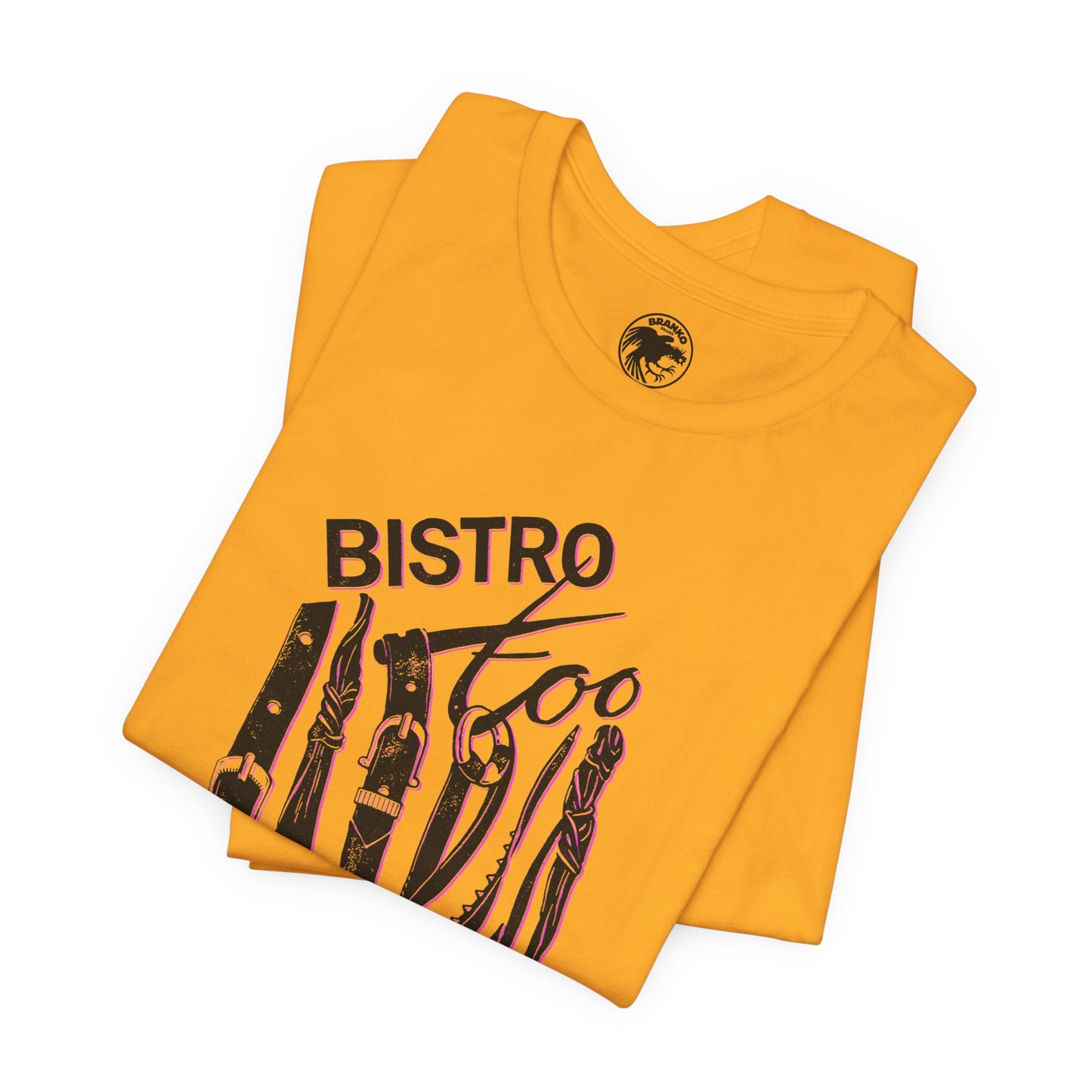 Bistro Too (Chicago Gay Club/80's and 90's)