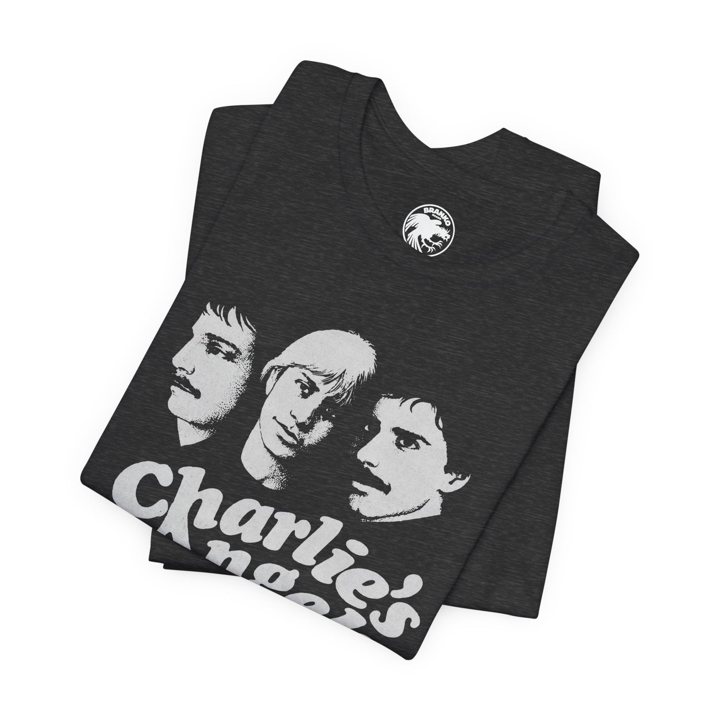 Charlie's Angels (Des Plaines Illinois Gay Bar/1977-1992/Chicago Suburb Gay Bar)