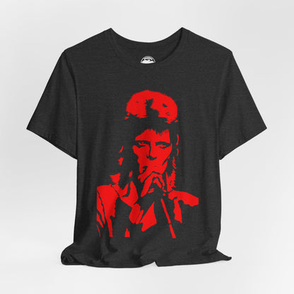 David Bowie (Ziggy Stardust Era Graphic Design)