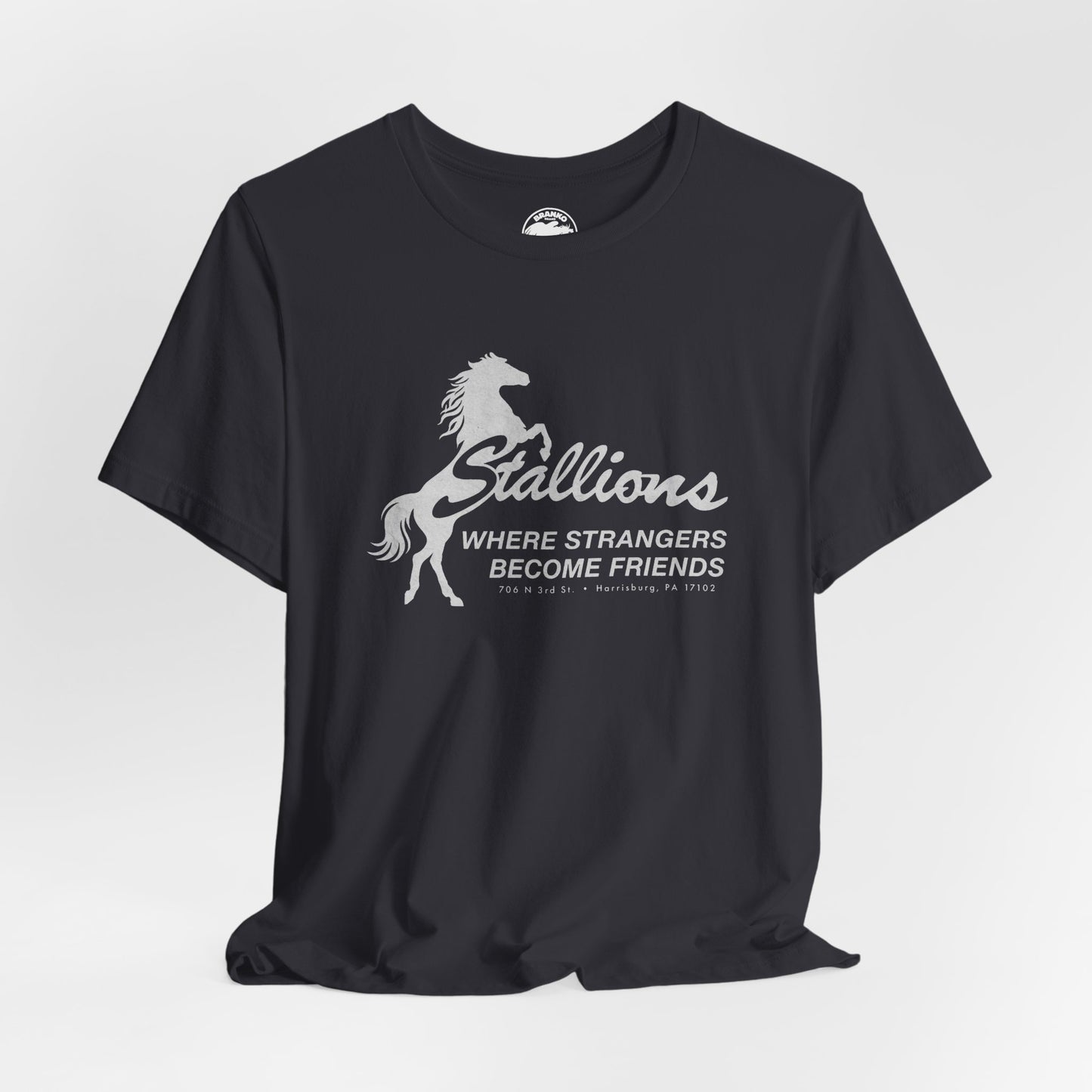 Stallions (Iconic Harrisburg Gay Bar/1985-2023)