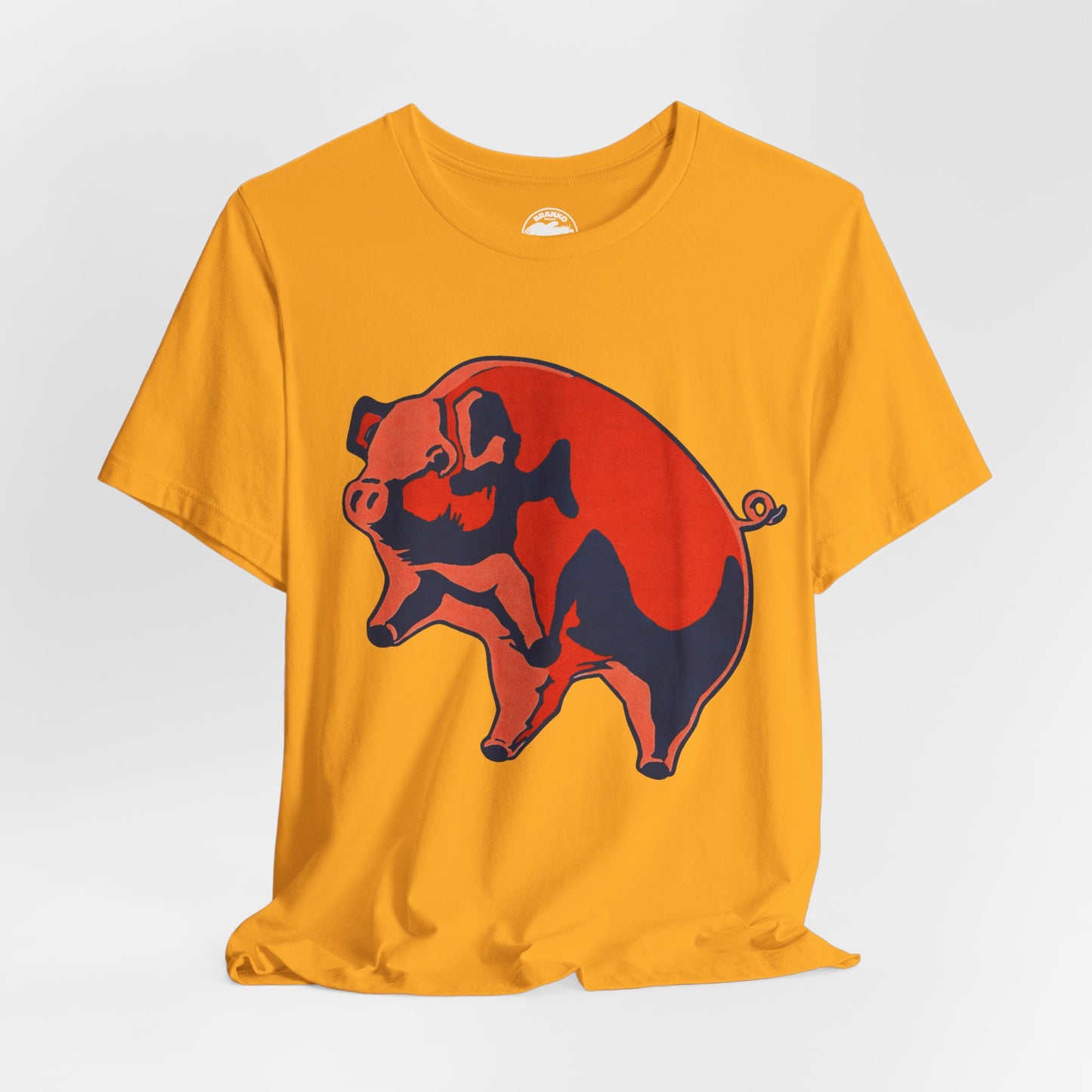 Pink Floyd (Oversized Animals Pig with Vintage Print Effect)