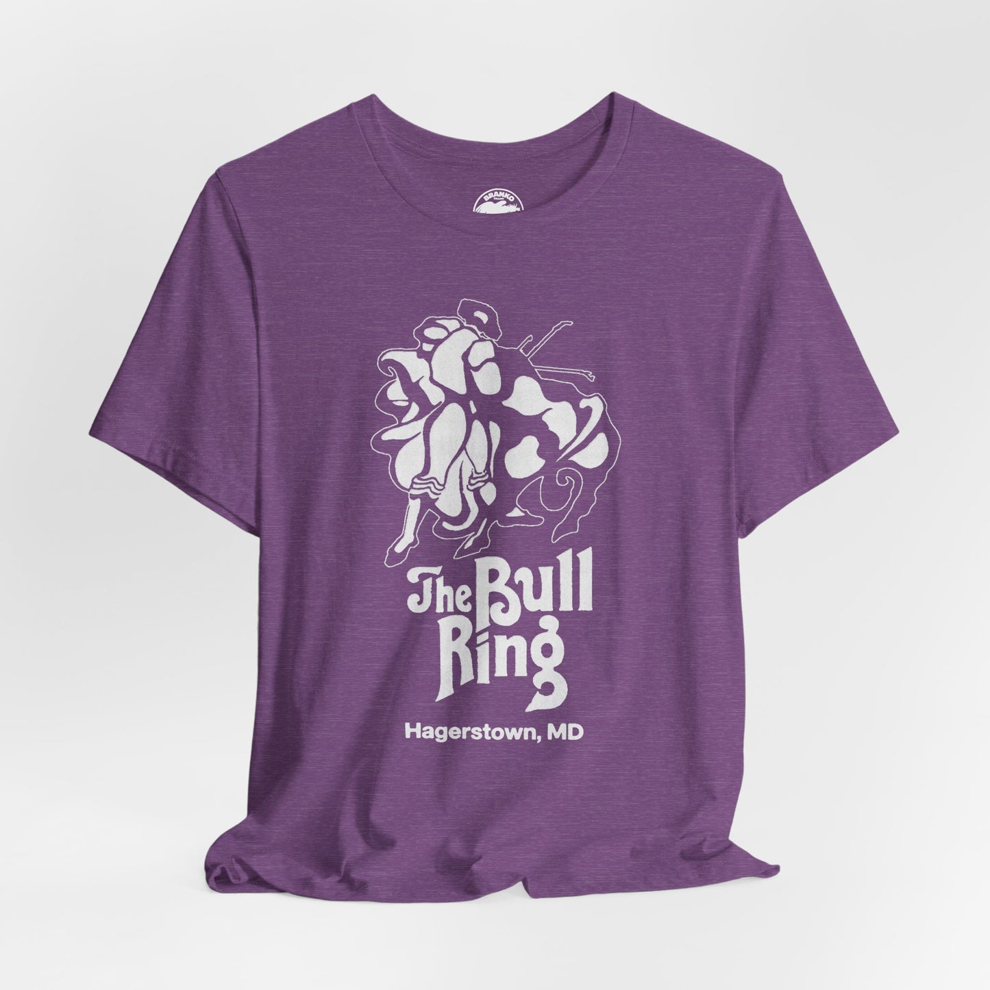 The Bull Ring (Hagerstown, MD Gay Bar/70's to 80's)